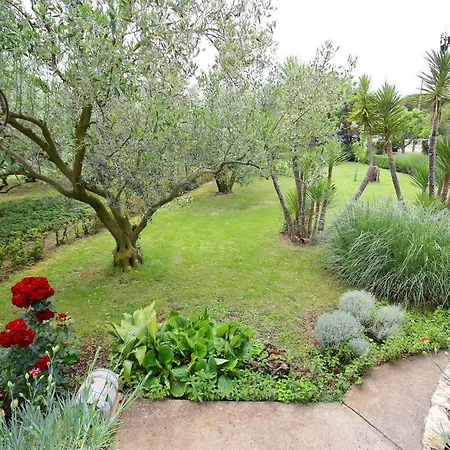 Garden *